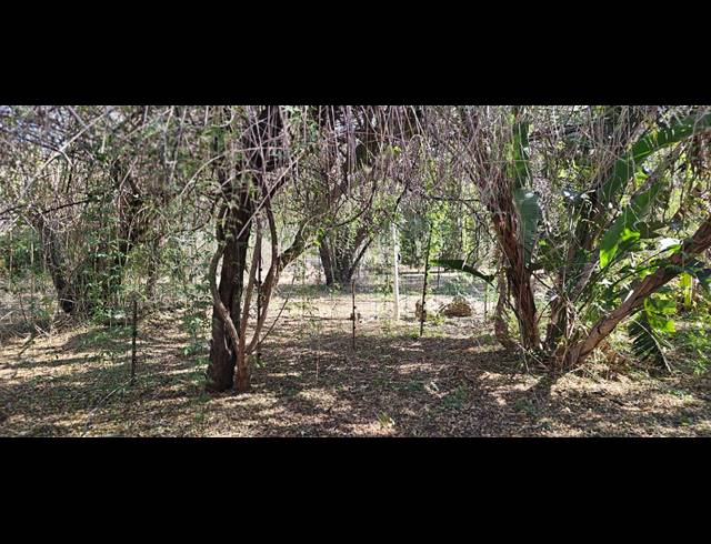 4.10HA SMALLHOLDING FOR SALE IN RENOSTERFONTEIN AH